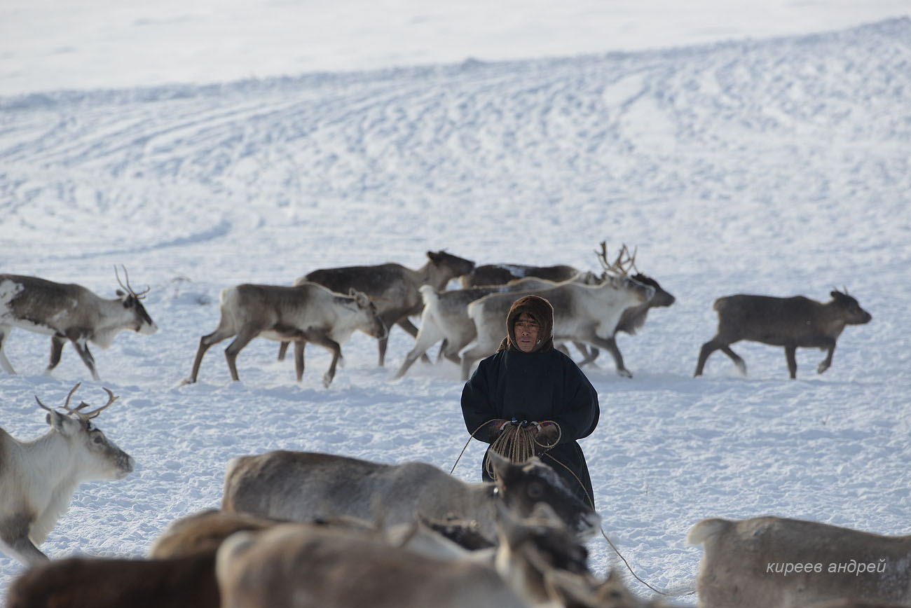 Yamal (Ямал)